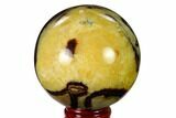 Polished Septarian Sphere - Madagascar #154143-1